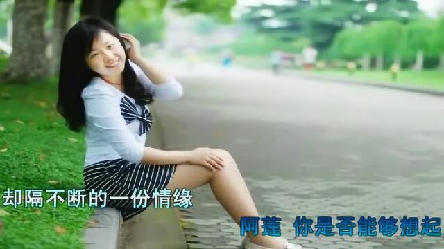 阿莲  戴军,阿莲在我心里在我睡梦里