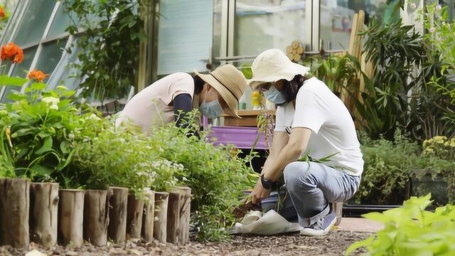 当你还在沉迷《动森》,深圳这群人早把游戏场景搬到楼下……