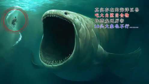 真实存在的海洋巨兽，吃大白鲨为食，10只大象也不行，比恐龙还猛