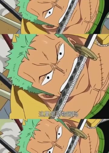海贼王:能力变成动物的两个人互相嘲笑对方,索隆