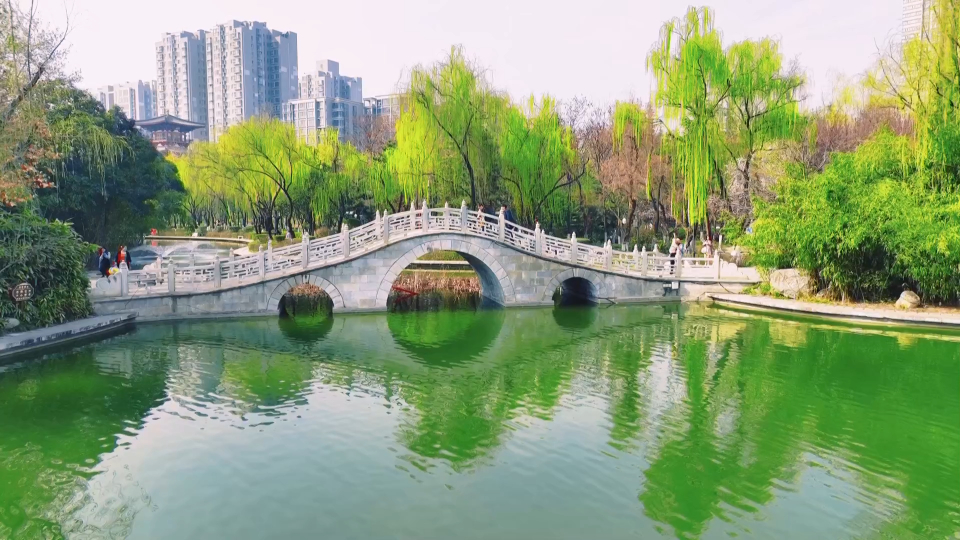 莲湖区 丰庆公园春日美景