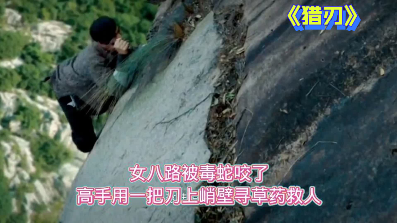 女兵在树林被毒蛇咬伤,战士帮她将毒液吸出来,却爬上峭壁找草药