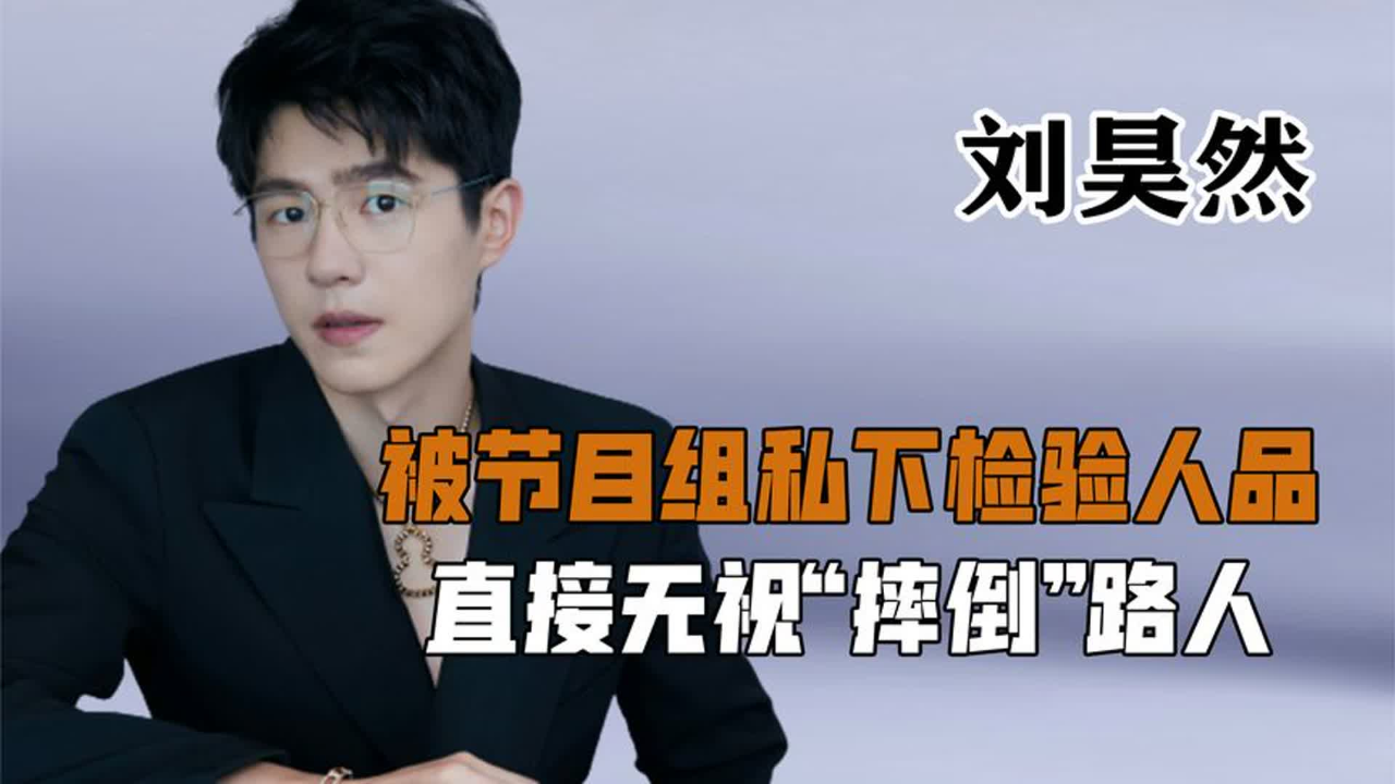 被嘲离开陈思诚啥也不是,电影票房全是靠蹭?刘昊然究竟有实力吗