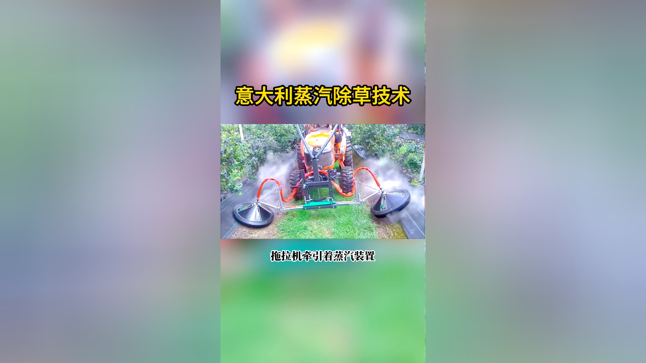 意大利高压蒸汽除草除虫技术,告别使用除草剂!