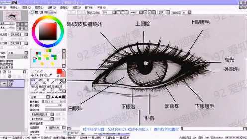 第5课：眼睛的结构SAI真人照片转手绘