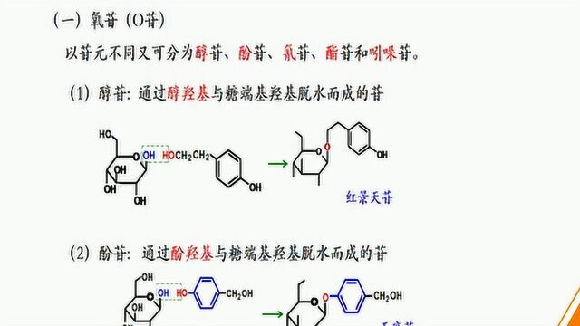 【中药一】4句话记住糖和苷精华知识点.mp4