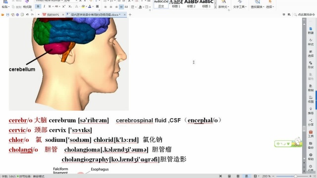 2018暑期班第一章常用词根 1