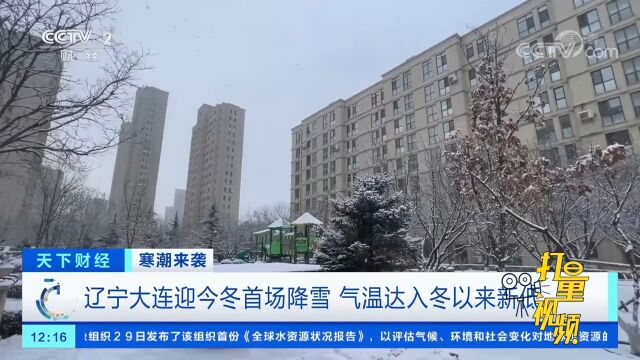 辽宁大连迎今冬首场降雪,气温达入冬以来新低