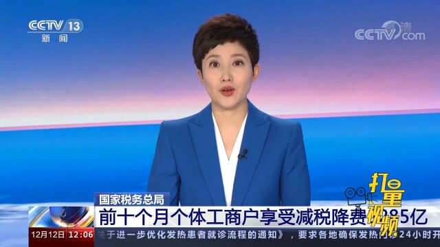 国家税务总局:前十个月个体工商户享受减税降费3285亿元