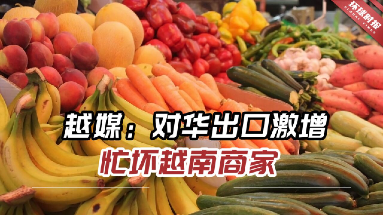 签证越南手续需要去哪里办理_越南签证需要什么_去越南需要什么手续和签证