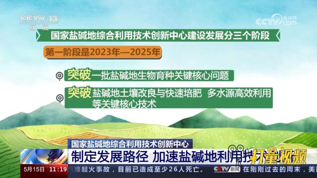 国家盐碱地综合利用技术创新中心建设分三个阶段,一起来了解一下