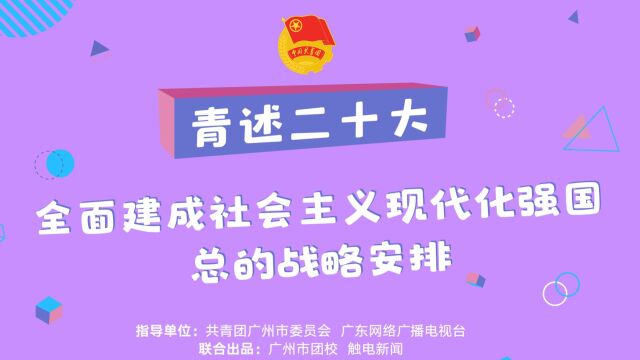 全面建成社会主义现代化强国总的战略安排