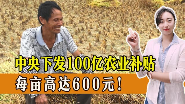 好消息!中央财政下发100亿元给农民,每亩高达600元!一起了解