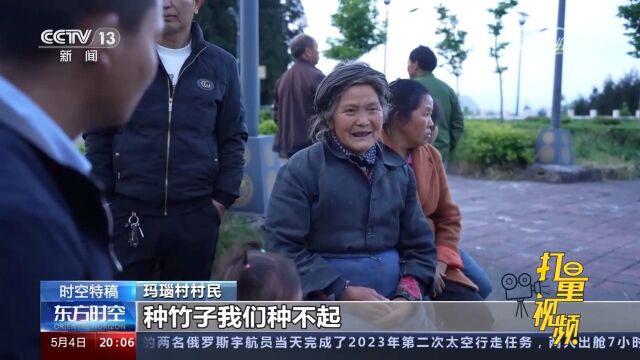 90后村支书动员村民种白竹,空心化山村无人愿种