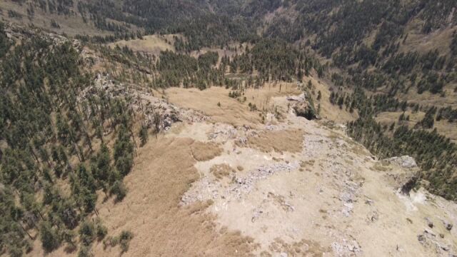 国宝齐聚光头山 十多种野生动物纷纷“打卡”