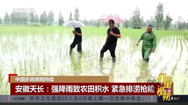 安徽天长:强降雨致农田积水,紧急排涝抢险