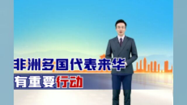 中国朋友遍天下!非洲多国代表来华有重要行动,中非友谊长存