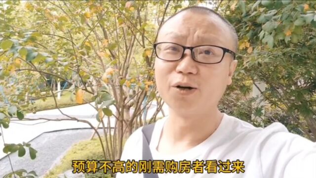 青羊区某新房:开发商卖得房子,比拿地家还便宜,开发商亏了