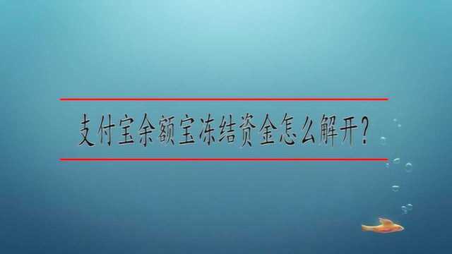 支付宝余额宝冻结资金怎么解开?