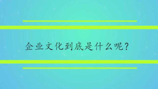 企业文化到底是什么呢?