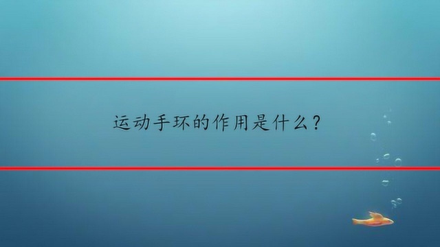 运动手环的作用是什么?