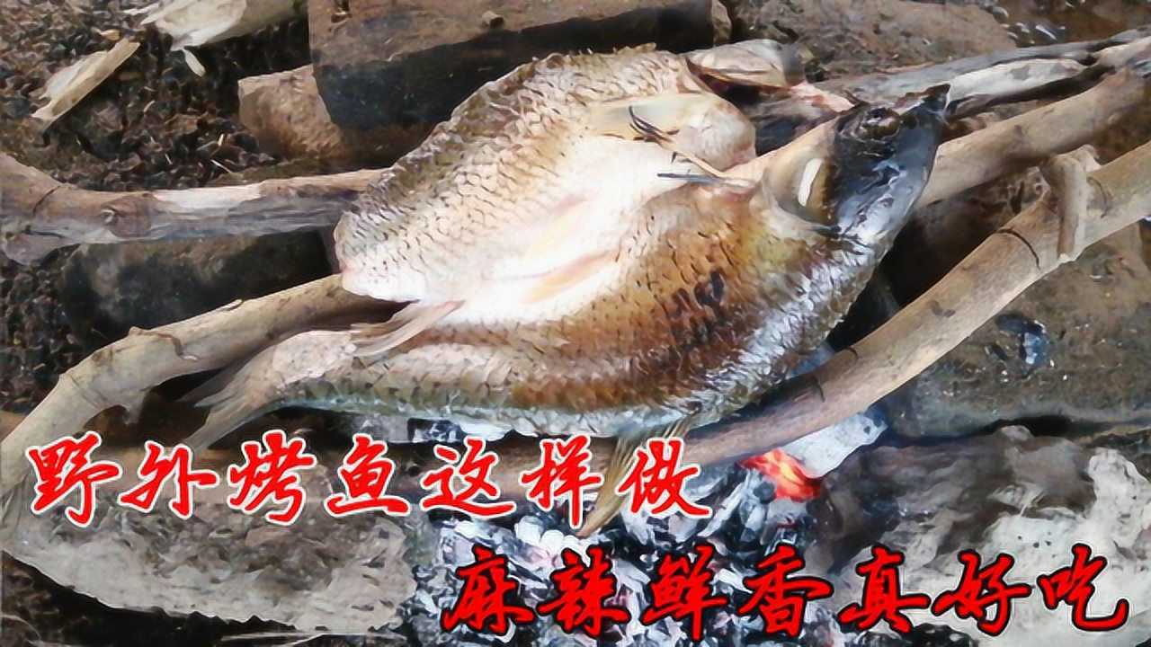 四喜野外釣魚現釣現做烤魚簡單做法麻辣鮮香一條魚都不夠吃