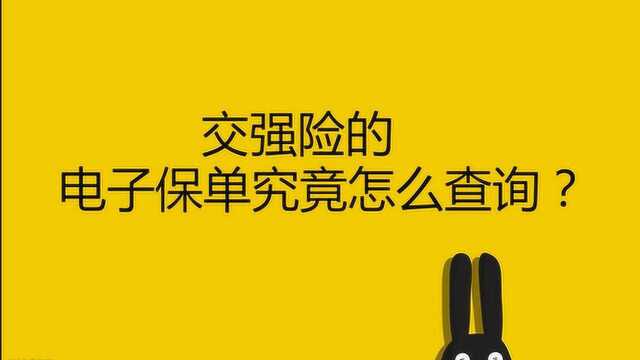 交强险的电子保单究竟怎么查询?