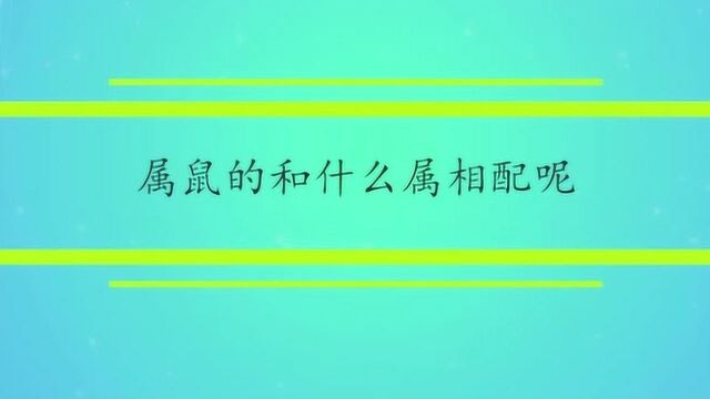 属鼠的和什么属相配呢