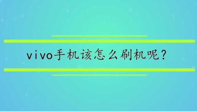 vivo手机该怎么刷机呢?