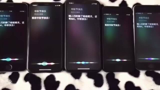 嘿siri:她她她,用英文怎么说?这操作我服了