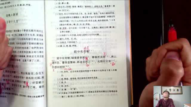 小李上学,古代汉语,古诗十九首,庭中有奇树