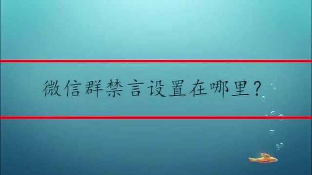 微信群禁言设置在哪里?