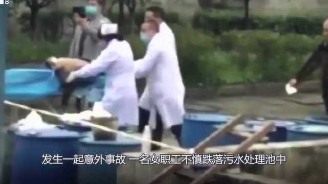 陕西安康一化工企业发生意外事故;6人不幸身亡!场面一片狼藉