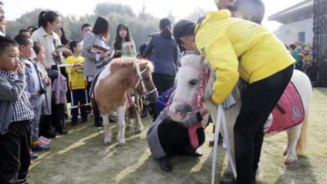 马球马术射箭 丝绸之路国际马文化节西安曲江中国唐苑昨日开幕