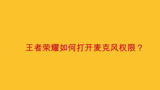 王者荣耀如何打开麦克风权限?