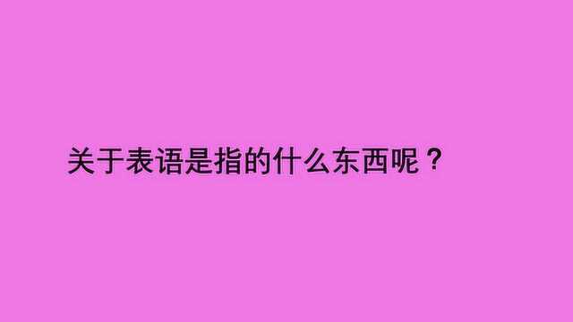 关于表语是指的什么东西呢?