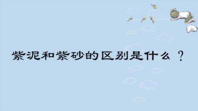 紫泥和紫砂的区别是什么?