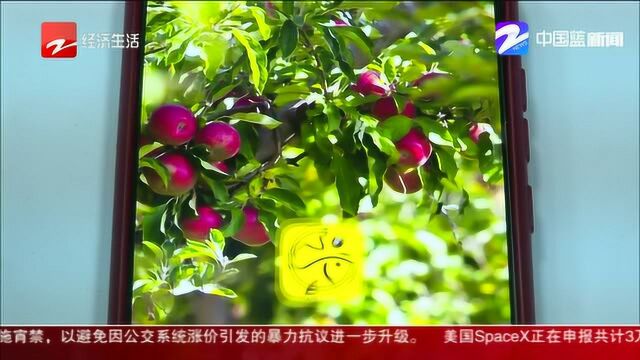 通过“闲鱼客”刷单挣钱? 律师:网络刷单是违法行为