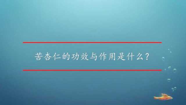 苦杏仁的功效与作用是什么?