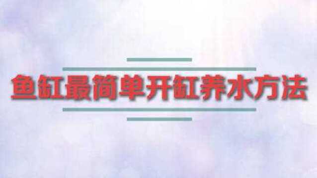 鱼缸最简单开缸养水方法