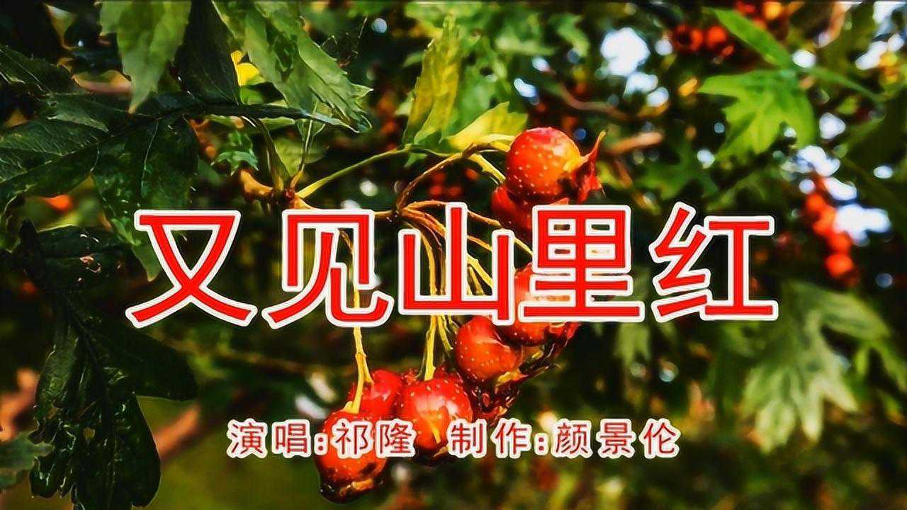 祁隆又见山里红旋律优美网络热播好听极啦