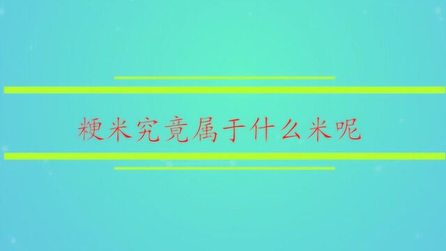 粳米究竟属于什么米呢