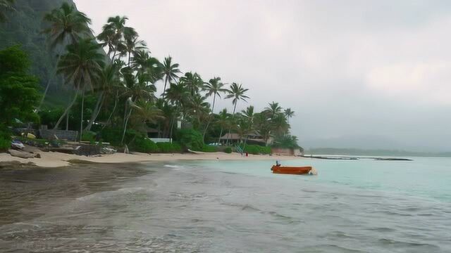 自然风光 夏威夷瓦胡岛