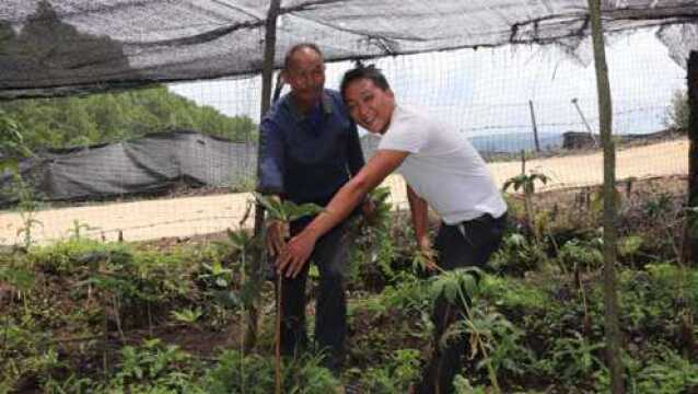 “云南白药”大家都认识,但你知道“云南白药”的主原料是什么吗