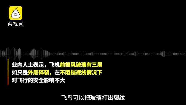 深圳航空客机因玻璃裂纹返航,乘客疑因撞鸟,业内人士:有可能