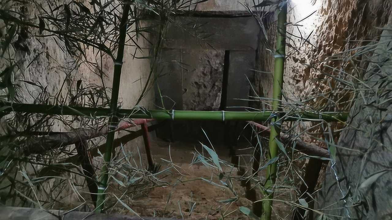 徐州北洞山汉墓,墓道和甬道还有6块塞石,棺椁下的金井清晰可见