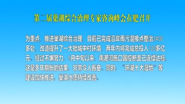 第二届巢湖综合治理专家咨询峰会在肥召开