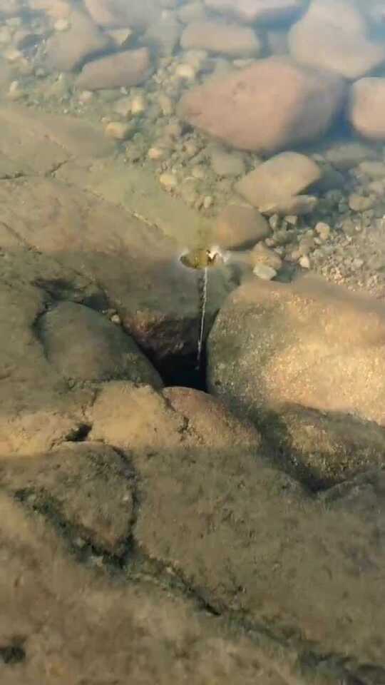 漩涡是如何形成的？这么小的漩涡，看起来也好怕！_腾讯视频
