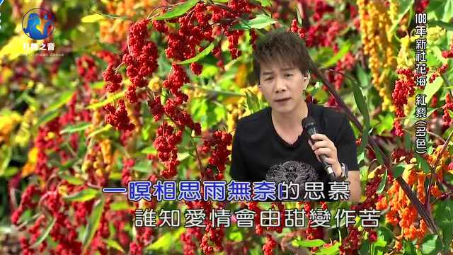 带你一起听好歌 伤感歌曲 雨绵绵