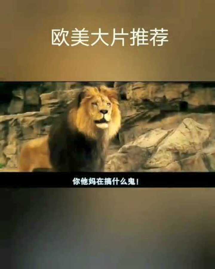 欧美大片极力推荐腾讯视频}